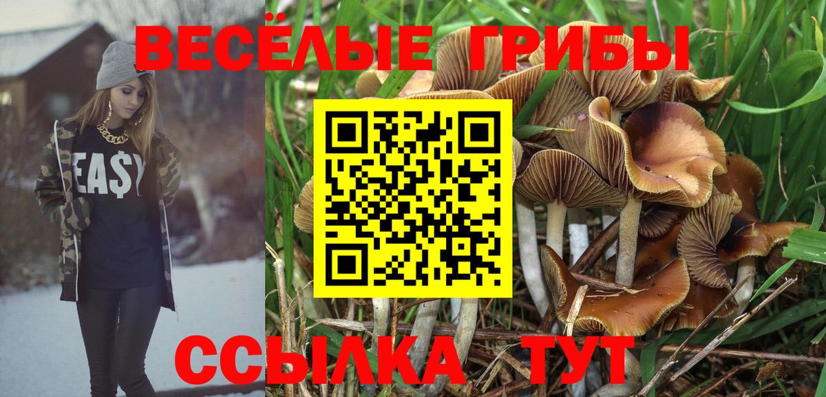 Галлюциногенные грибы мухоморы  Вход с VPN  Нарьян-Мар 